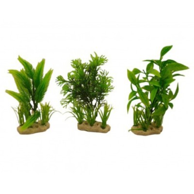 ΔΙΑΚΟΣΜΗΤΙΚΟ ΦΥΤΟ ΕΝΥΔΡΕΙΟΥ ΣΕ 3 ΣΧΕΔΙΑ 8Χ19CM